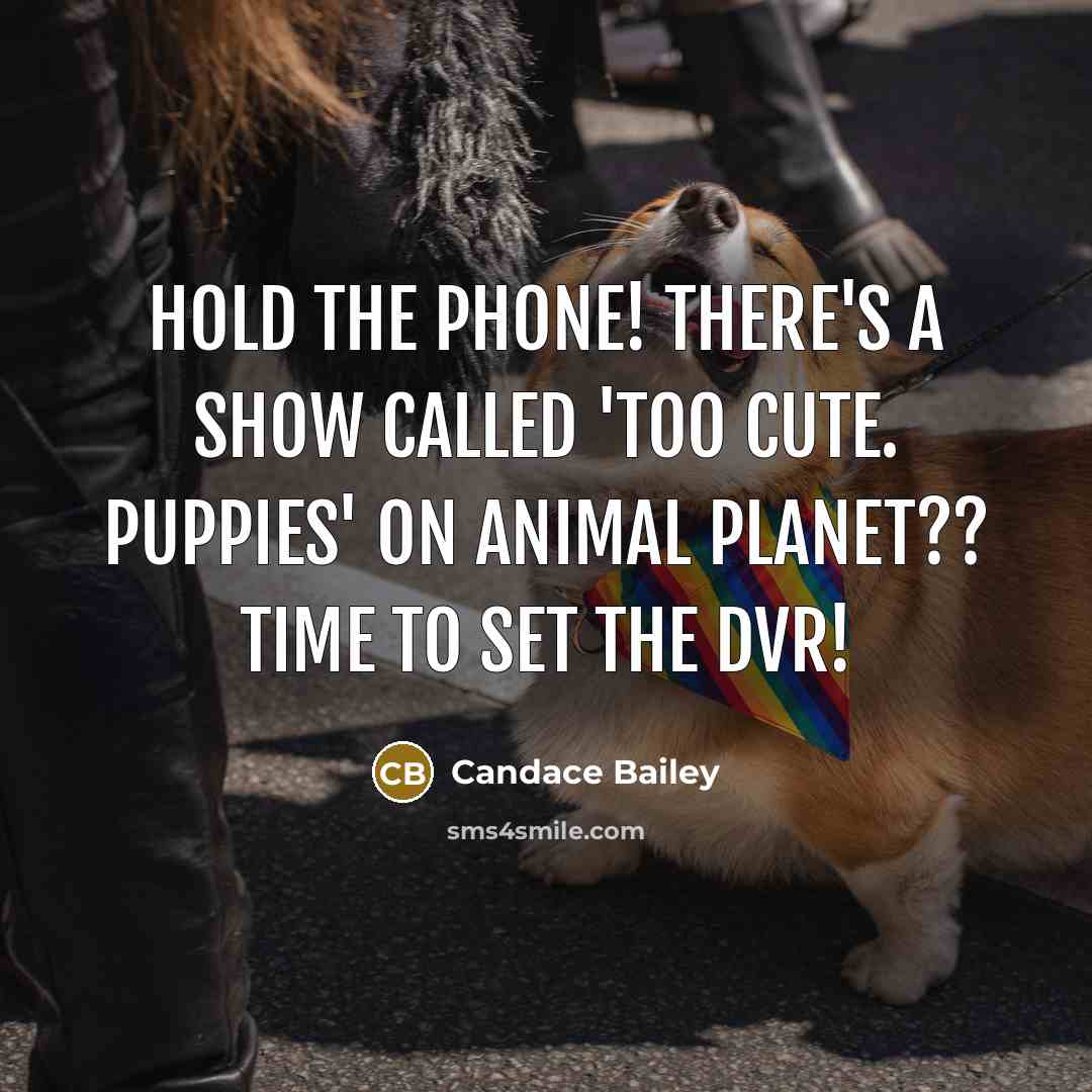 “Hold the phone! There's a show called 'Too cute. Puppies'…” quote by Candace Bailey