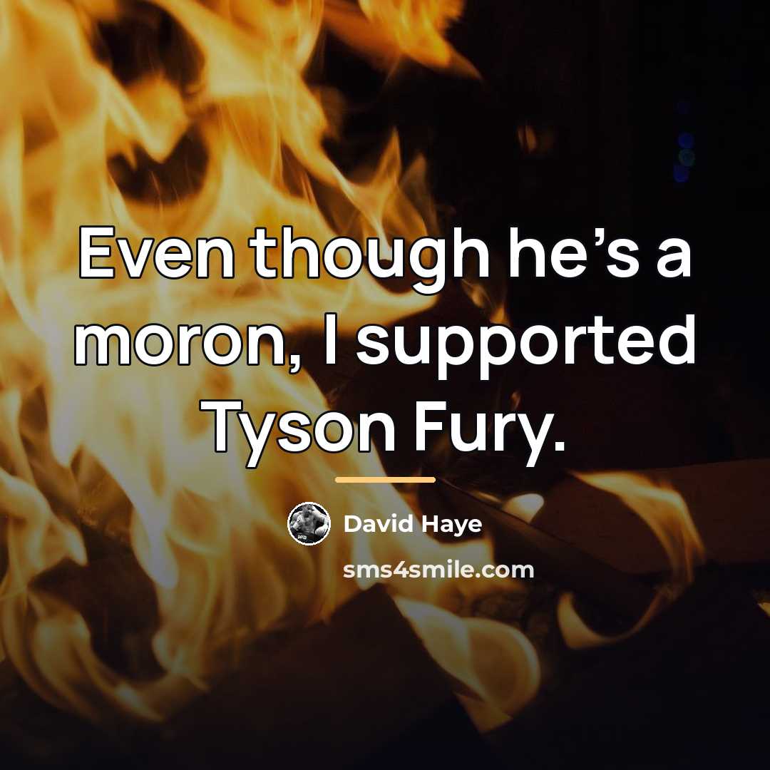 “Even though he's a moron, I supported Tyson Fury.…” quote by David Haye