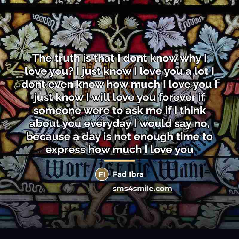 “The truth is that I dont know why I love…” quote by Fad Ibra