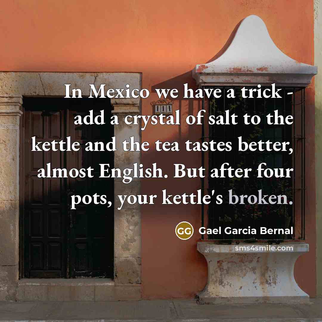 “In Mexico we have a trick - add a crystal…” quote by Gael Garcia Bernal