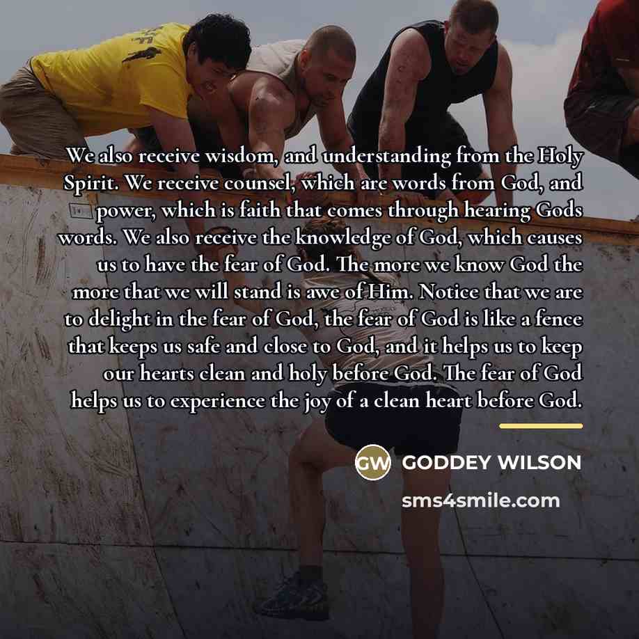 “We also receive wisdom, and understanding from the Holy Spirit.…” quote by GODDEY WILSON