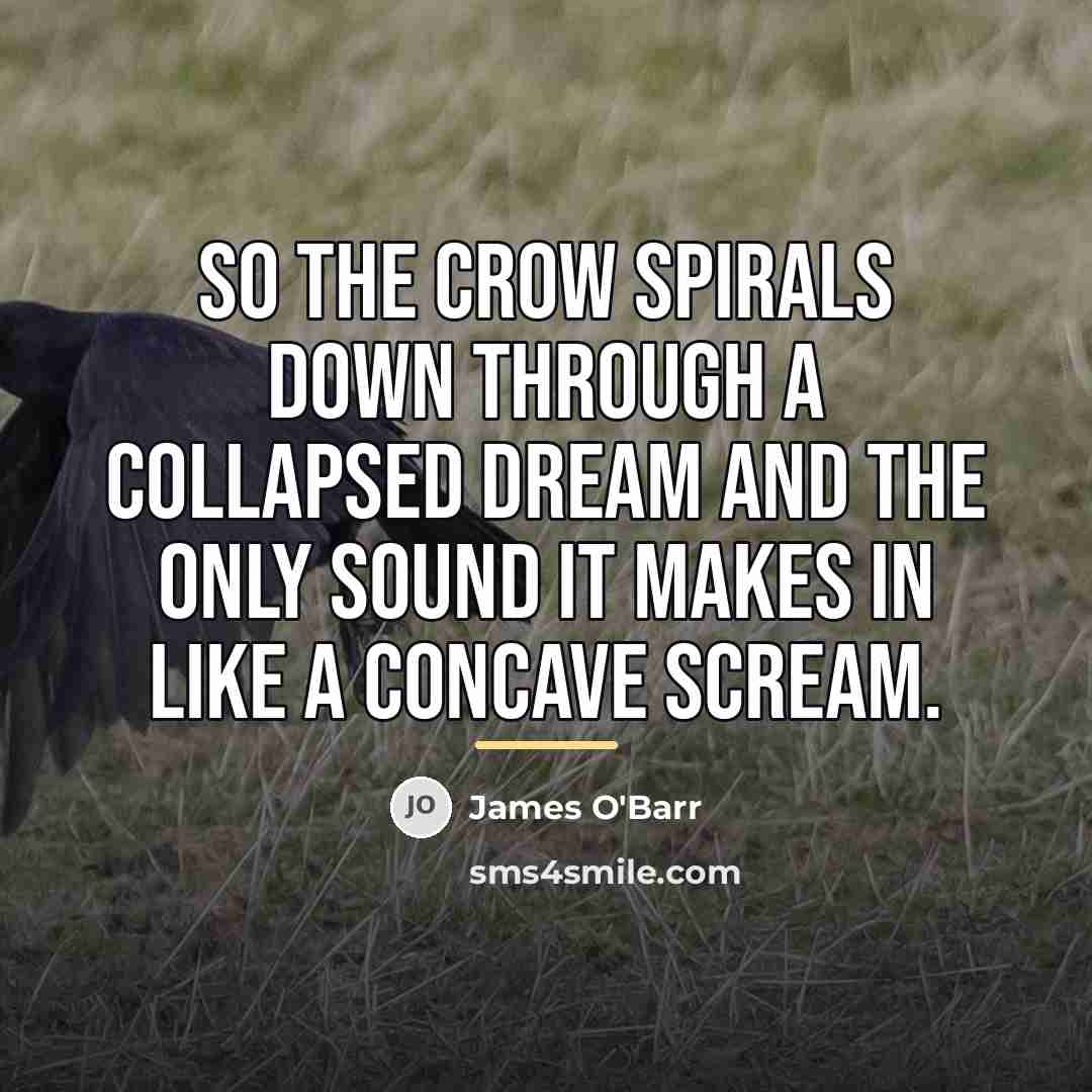 “So the crow spirals down through a collapsed dream and…” quote by James O'Barr