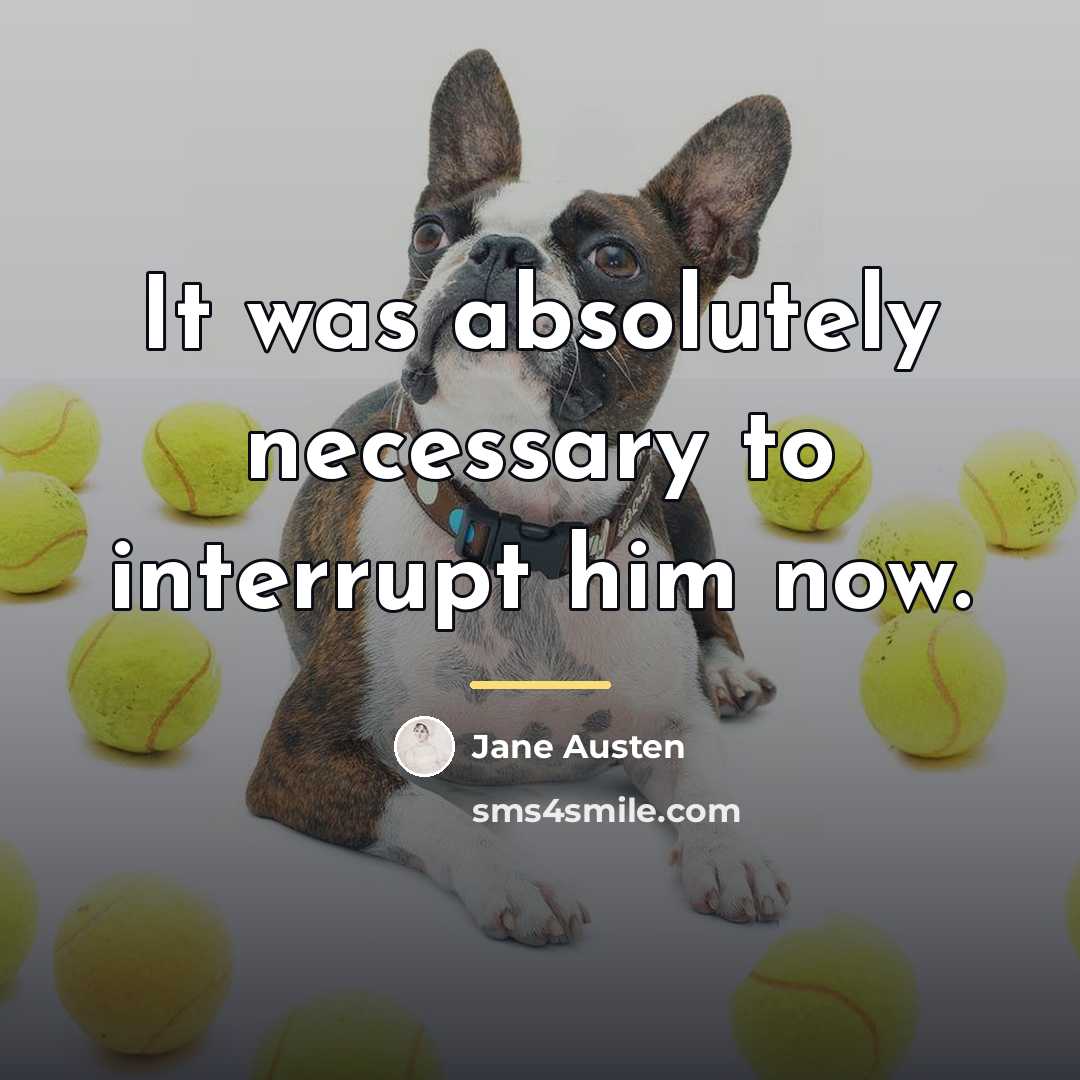 “It was absolutely necessary to interrupt him now.…” quote by Jane Austen