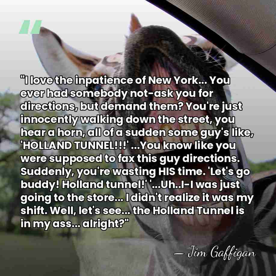 "I love the inpatience of New York... You ever had somebody not-ask&hellip; - Jim Gaffigan