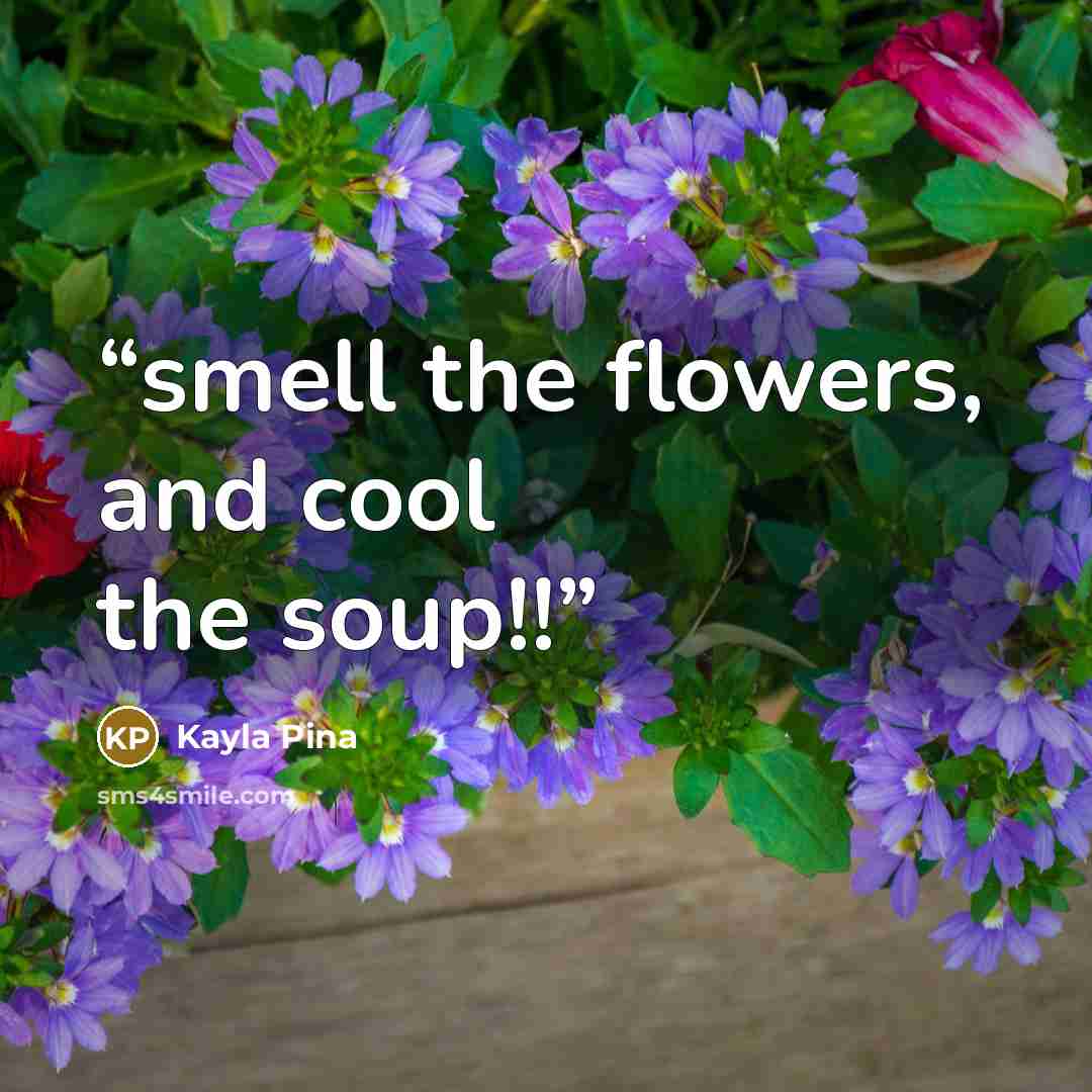 “smell the flowers, and cool the soup!!” quote by Kayla Pina