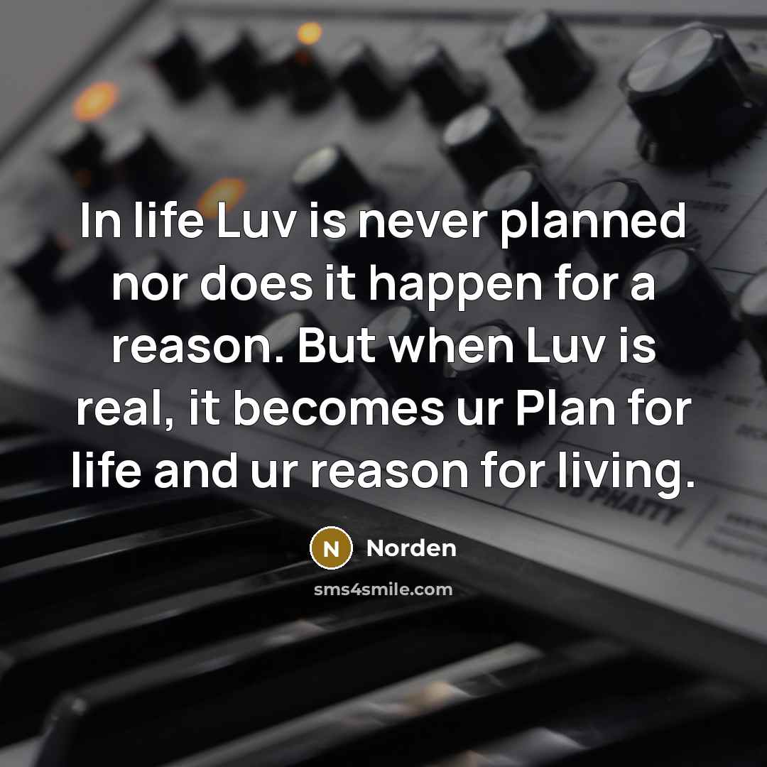 “In life Luv is never planned nor does it happen…” quote by Norden
