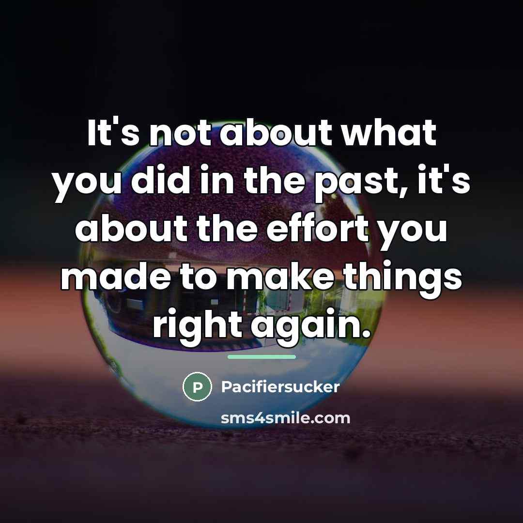 “It's not about what you did in the past, it's…” quote by Pacifiersucker