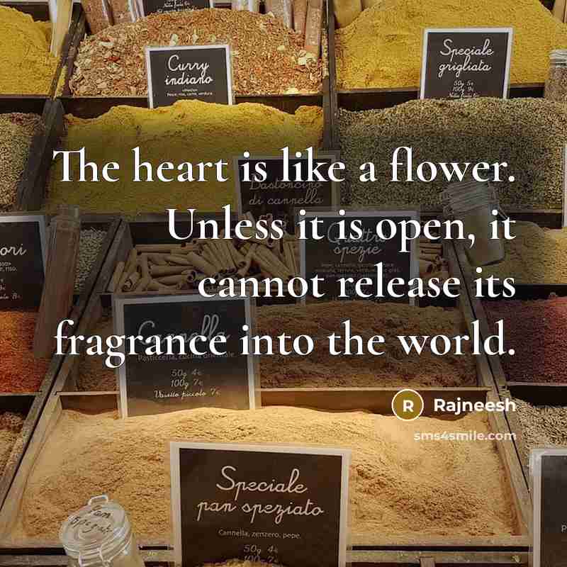 “The heart is like a flower. Unless it is open,…” quote by Rajneesh