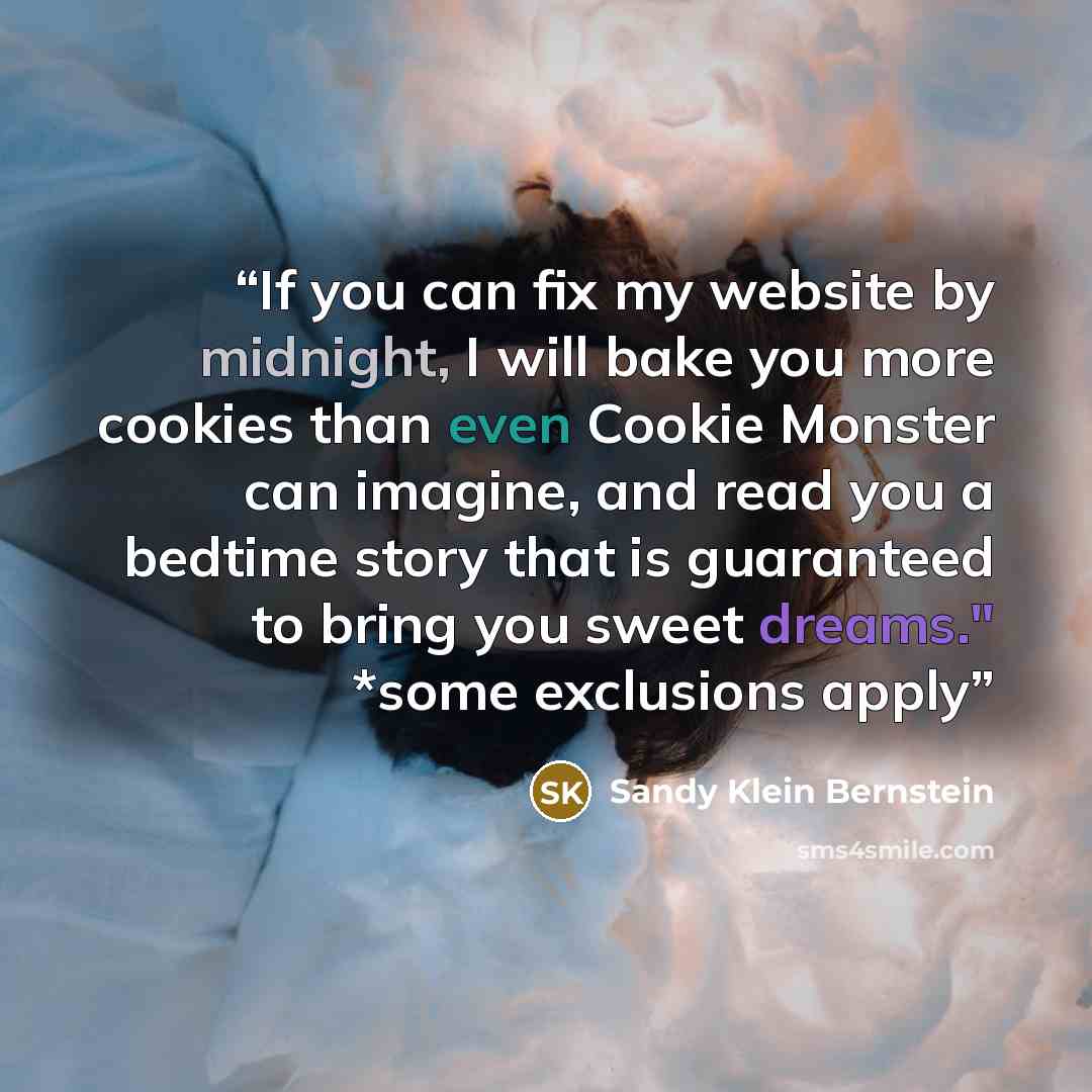 “If you can fix my website by midnight, I will bake you more cookies than even Cookie Monster can imagine, and read you a bedtime story that is guaranteed to bring you sweet dreams." *some exclusions apply” quote by Sandy Klein Bernstein
