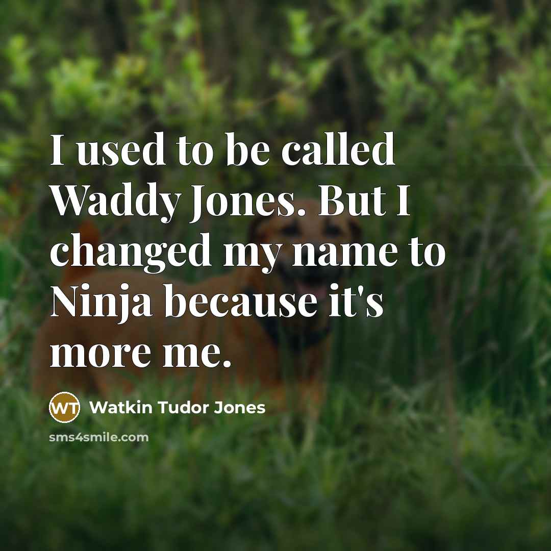 “I used to be called Waddy Jones. But I changed my name to Ninja because it's more me.” quote by Watkin Tudor Jones