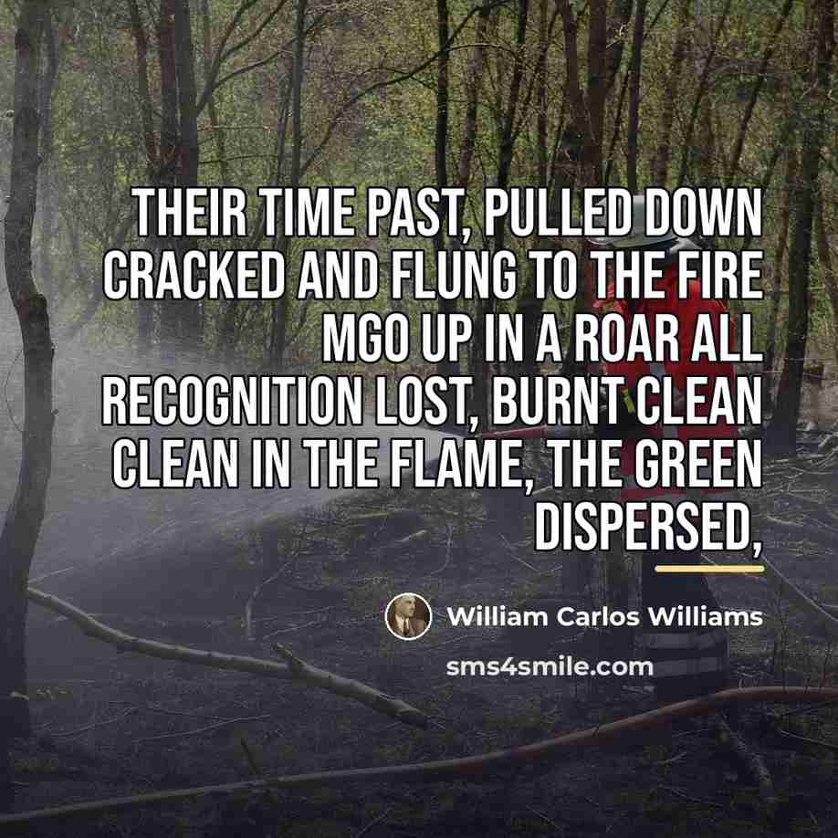 “Their time past, pulled down cracked and flung to the…” quote by William Carlos Williams