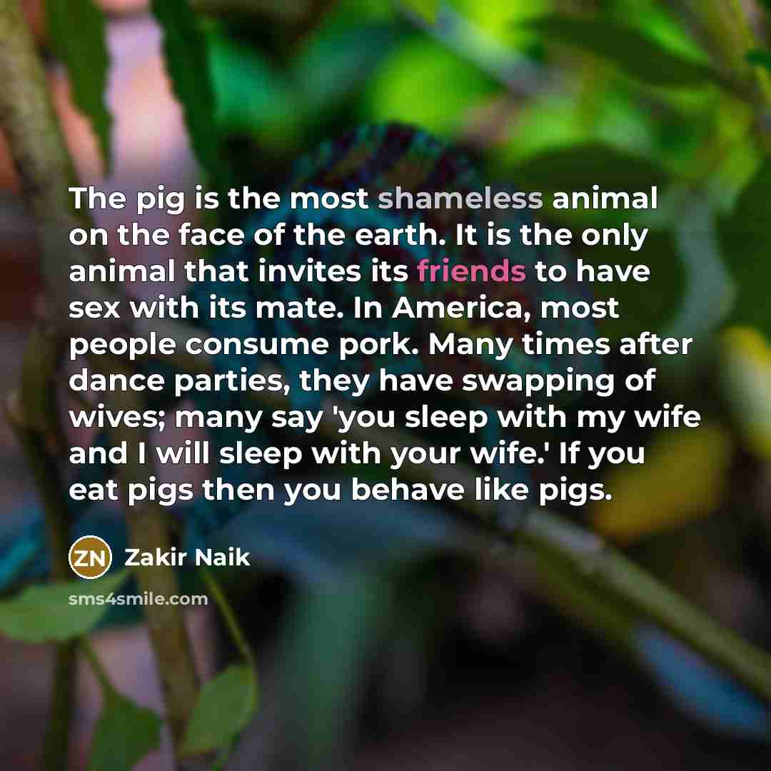 “The pig is the most shameless animal on the face…” quote by Zakir Naik