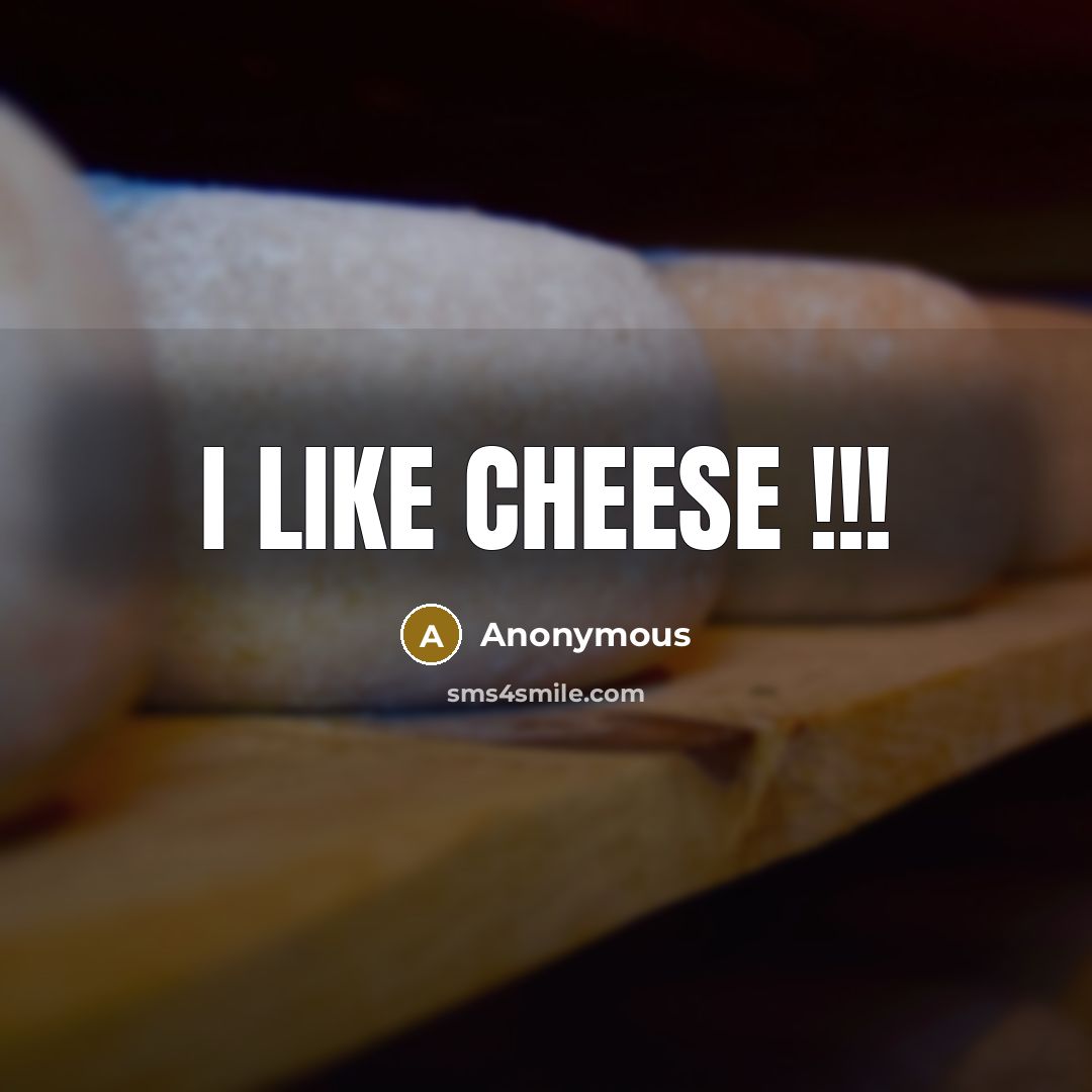 “I Like Cheese !!!” quote by Anonymous