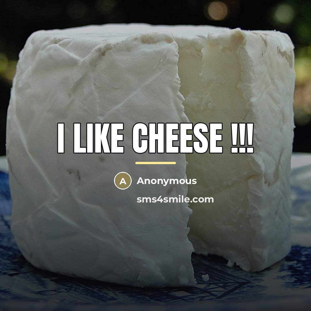 “I Like Cheese !!!…” quote by Anonymous
