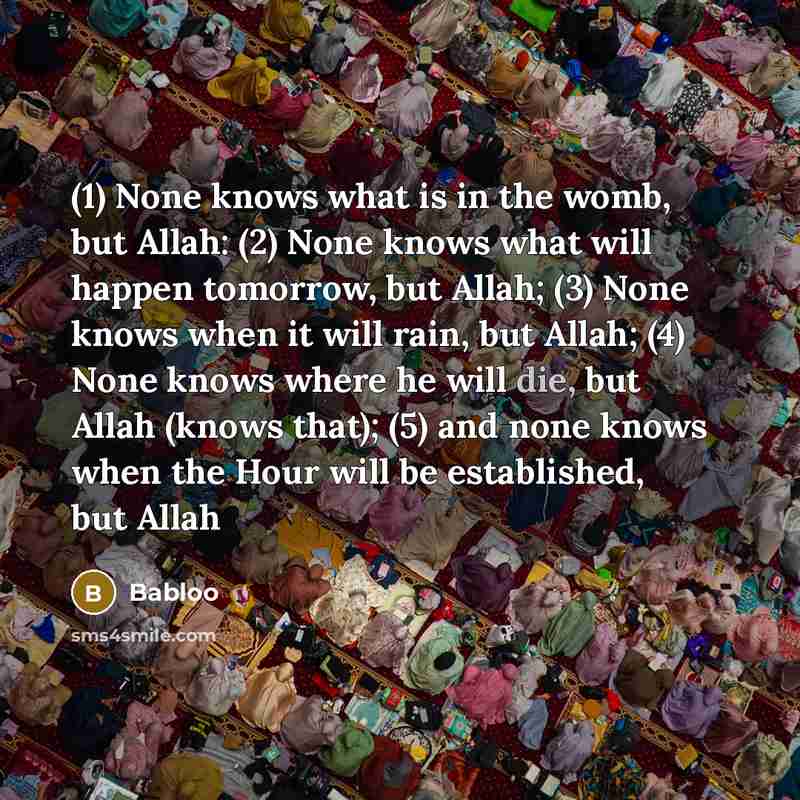 “(1) None knows what is in the womb, but Allah:…” quote by Babloo