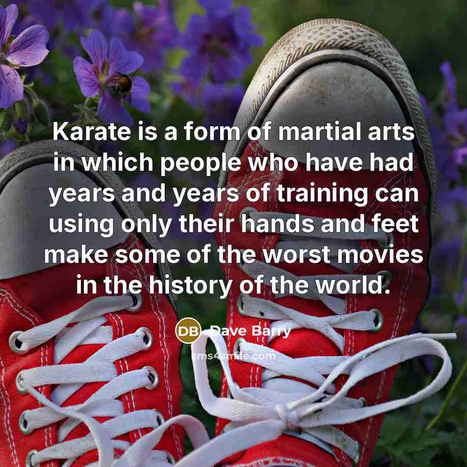 “Karate is a form of martial arts in which people…” quote by Dave Barry