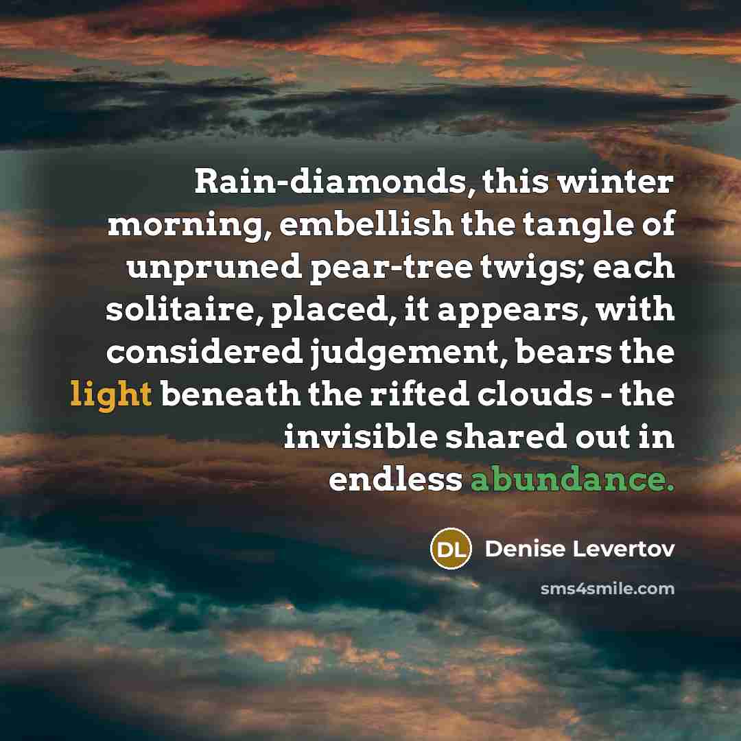 “Rain-diamonds, this winter morning, embellish the tangle of unpruned pear-tree…” quote by Denise Levertov