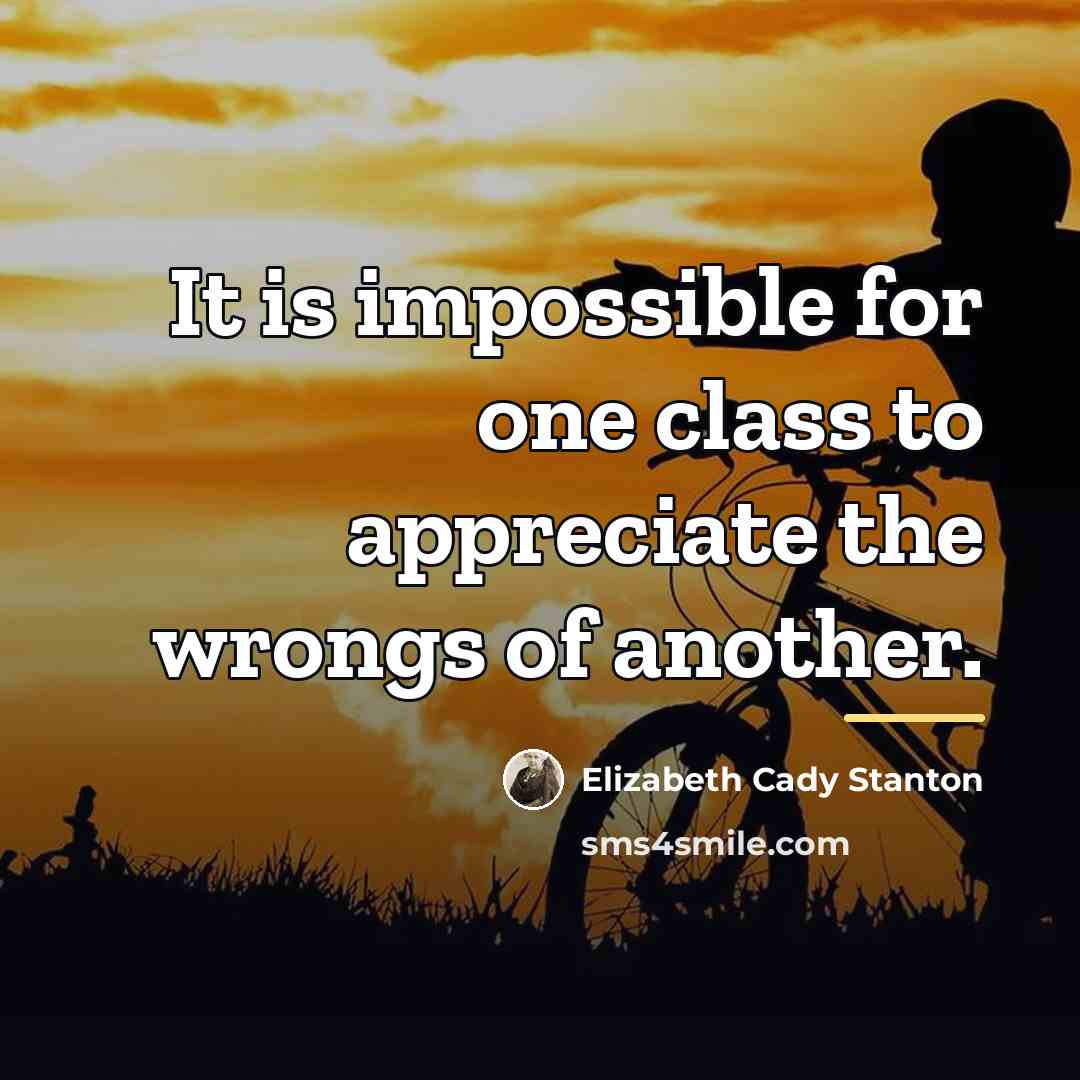 “It is impossible for one class to appreciate the wrongs…” quote by Elizabeth Cady Stanton