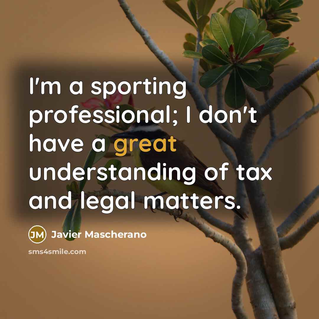 “I'm a sporting professional; I don't have a great understanding…” quote by Javier Mascherano