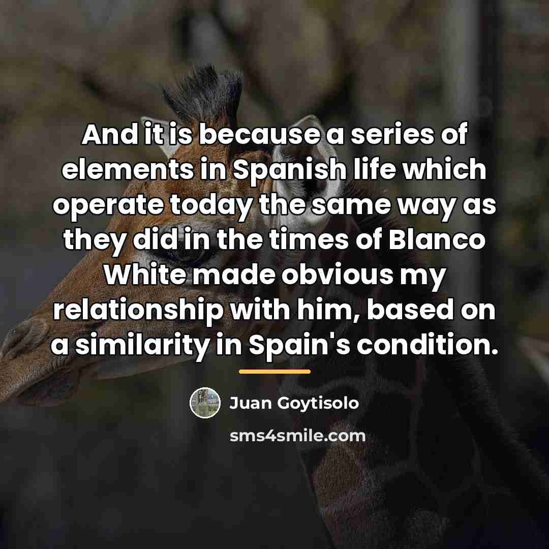 “And it is because a series of elements in Spanish…” quote by Juan Goytisolo