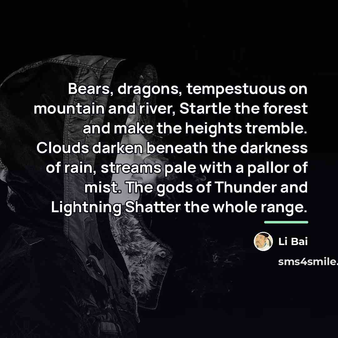 “Bears, dragons, tempestuous on mountain and river, Startle the forest…” quote by Li Bai
