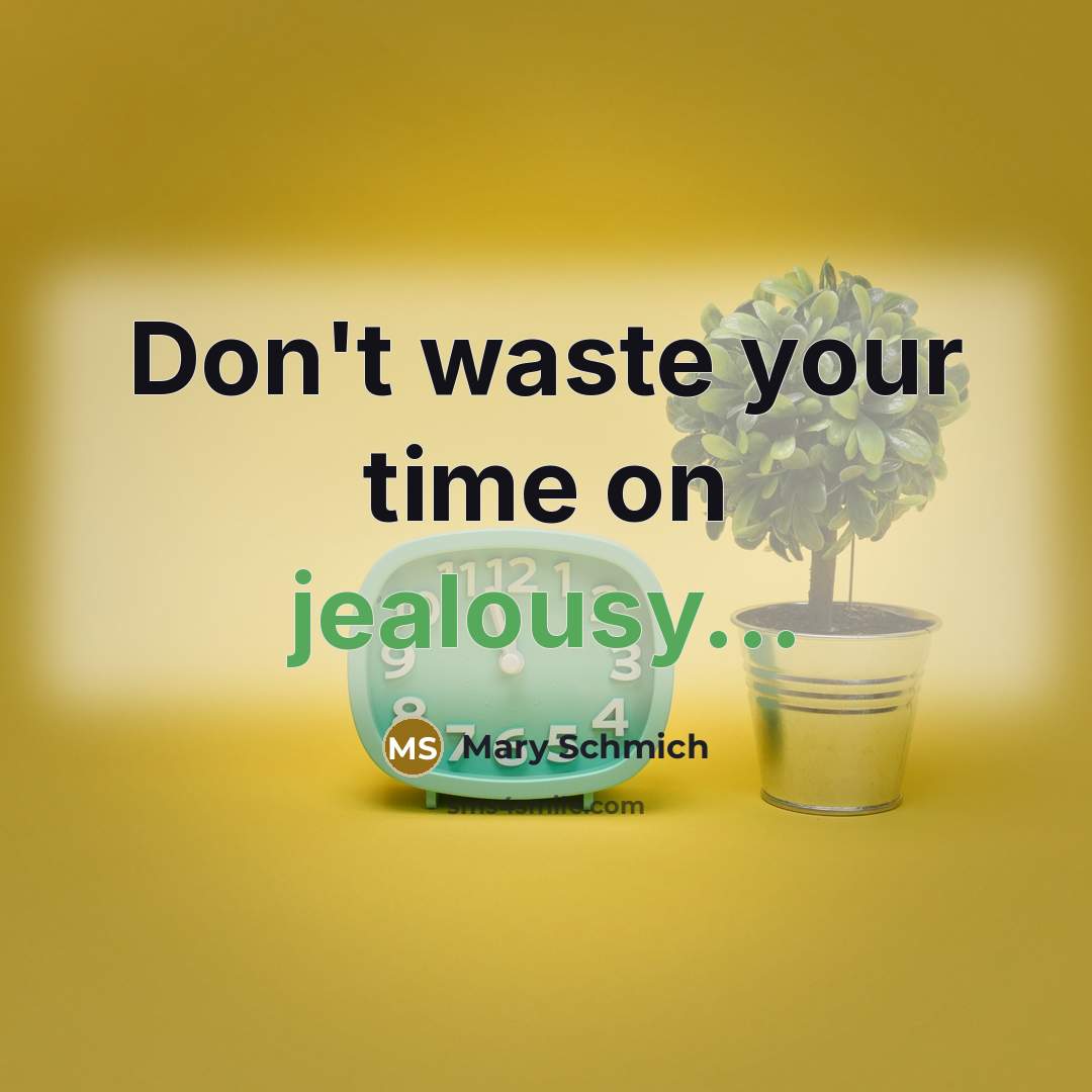 “Don't waste your time on jealousy...…” quote by Mary Schmich