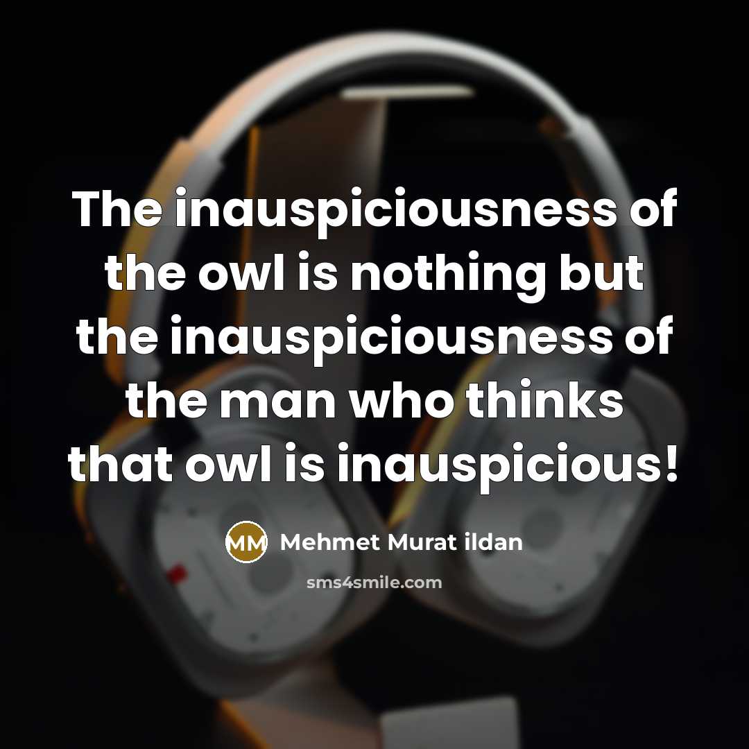 “The inauspiciousness of the owl is nothing but the inauspiciousness…” quote by Mehmet Murat Ildan