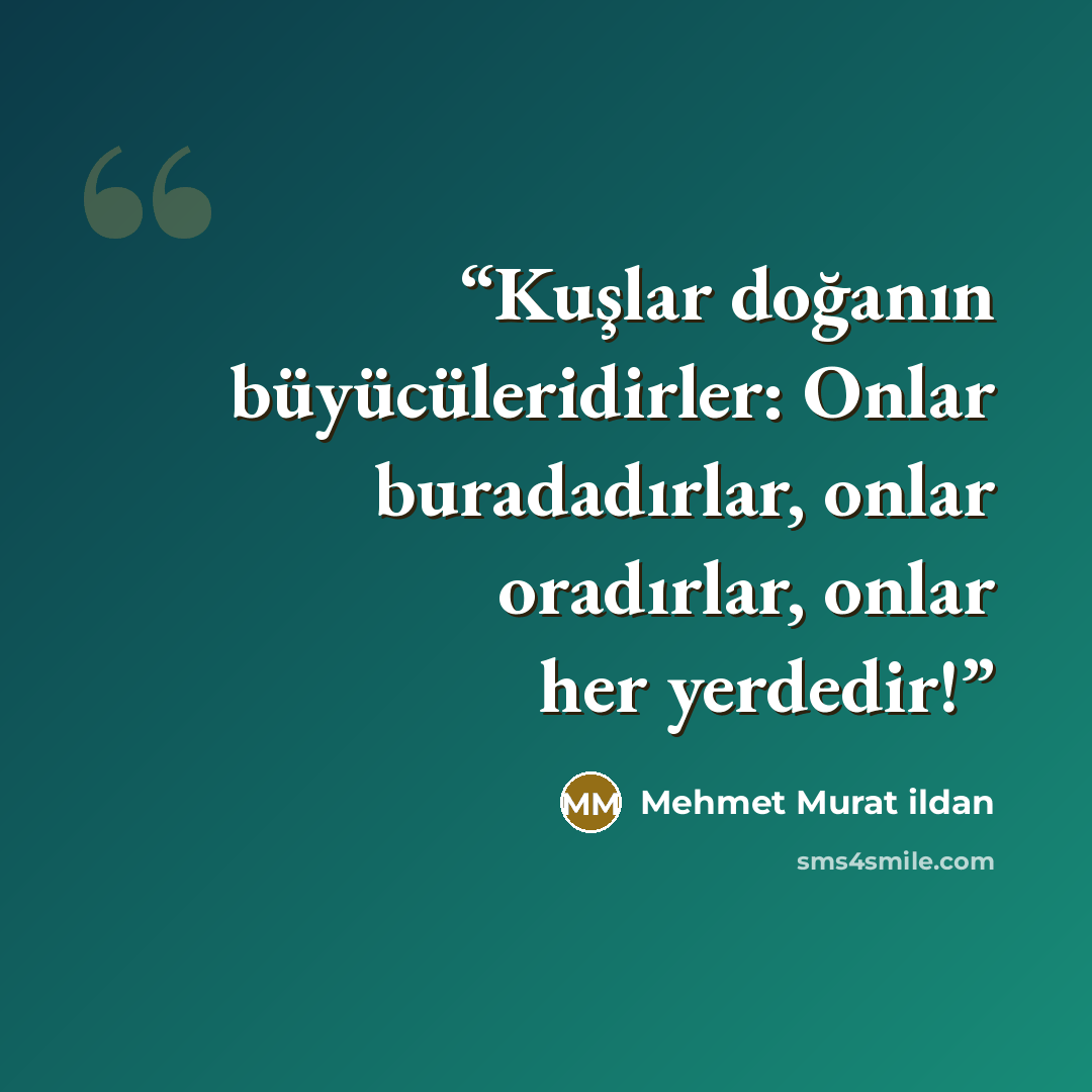 “Kuşlar doğanın büyücüleridirler: Onlar buradadırlar, onlar oradırlar, onlar her yerdedir!” quote by Mehmet Murat ildan