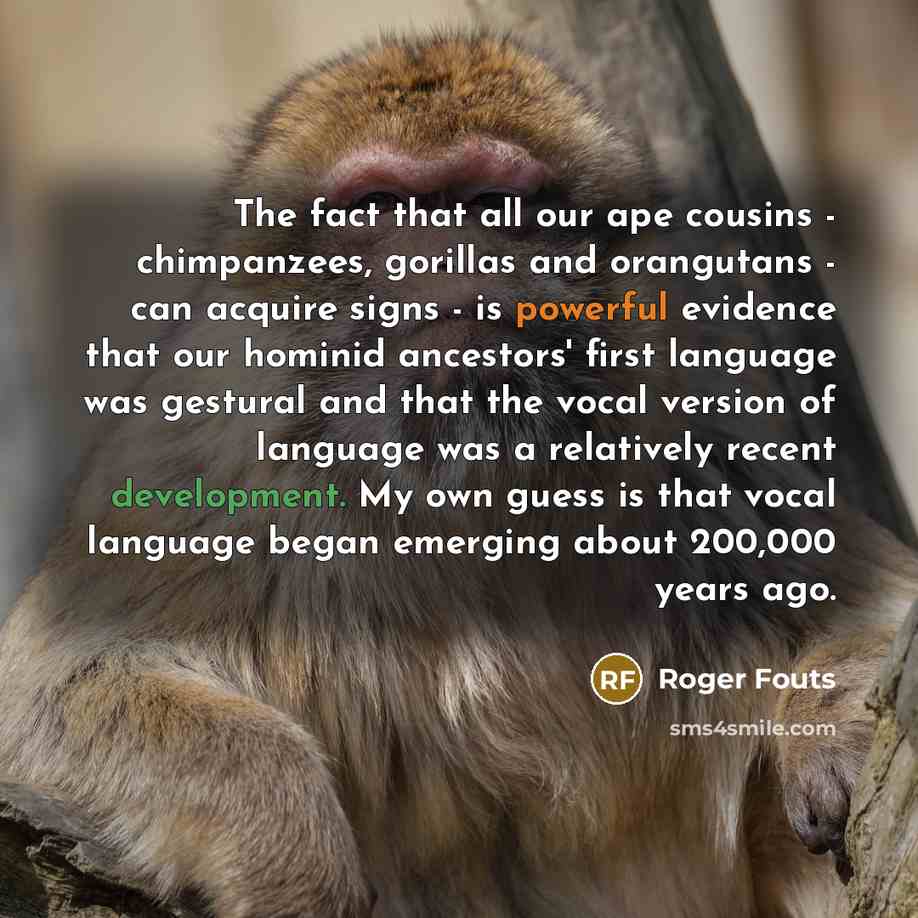 “The fact that all our ape cousins - chimpanzees, gorillas…” quote by Roger Fouts