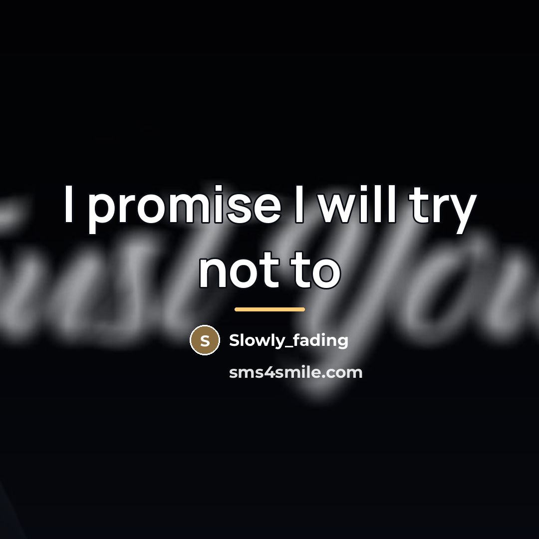 “I promise I will try not to…” quote by Slowly_fading