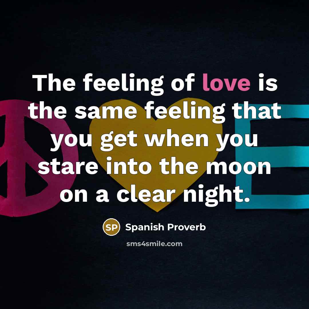 “The feeling of love is the same feeling that you…” quote by Spanish Proverb