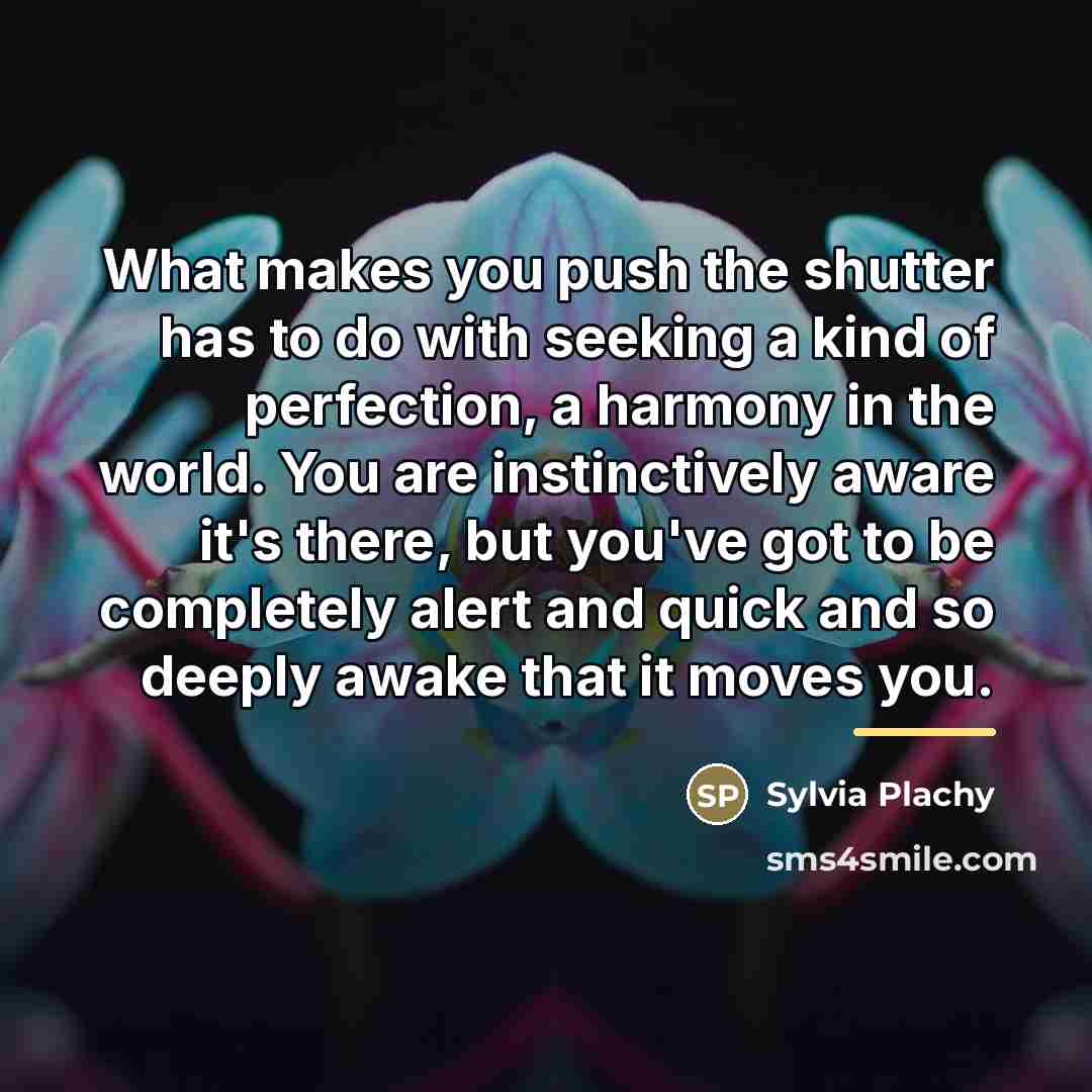 “What makes you push the shutter has to do with…” quote by Sylvia Plachy