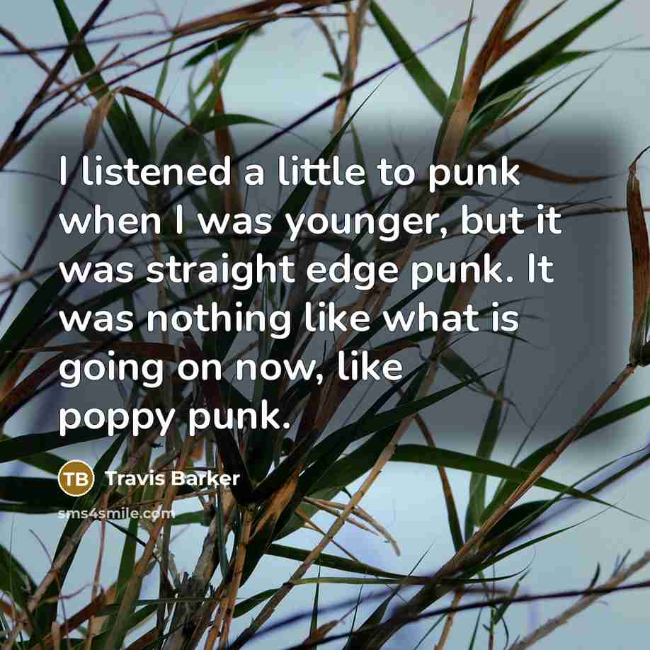 “I listened a little to punk when I was younger,…” quote by Travis Barker