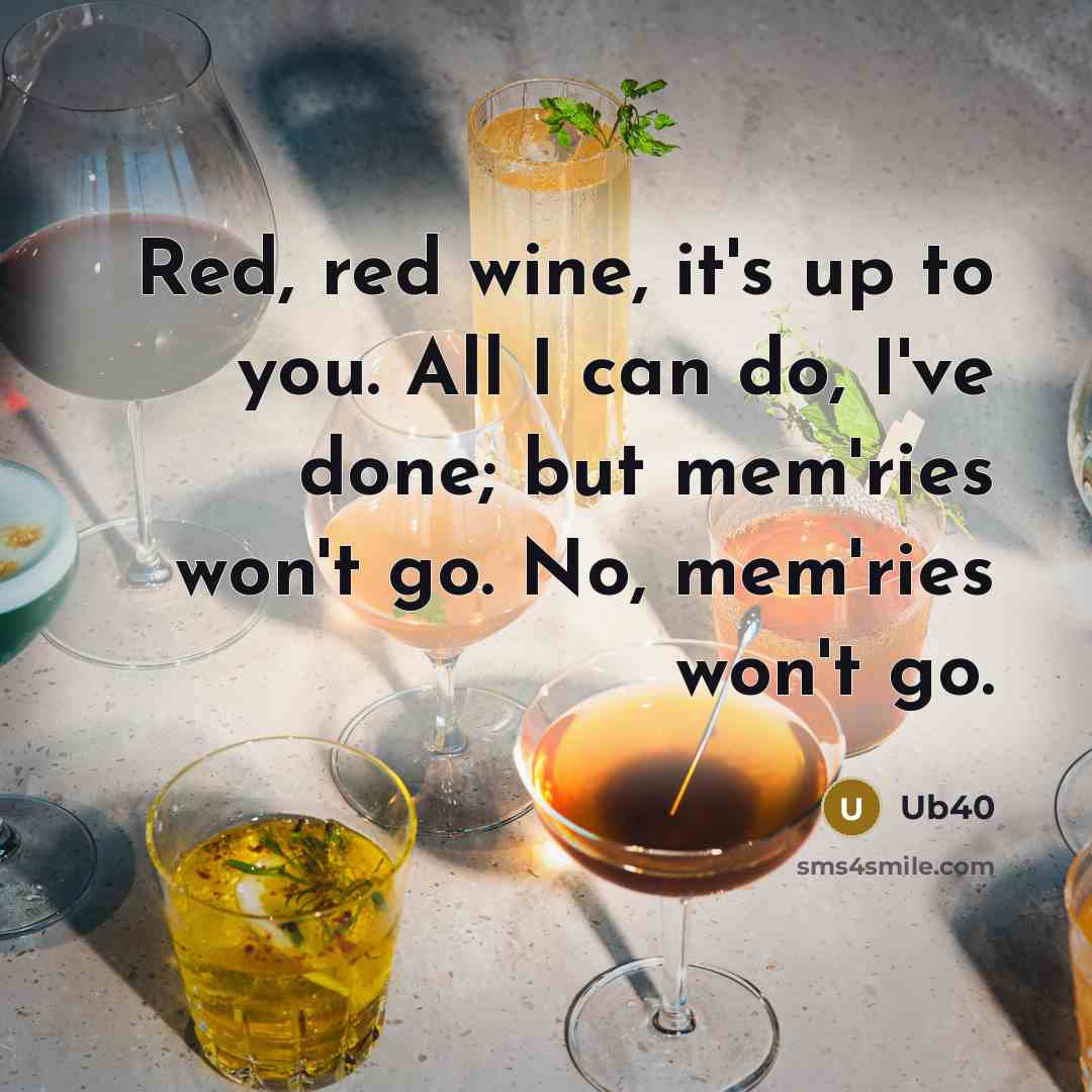 “Red, red wine, it's up to you. All I can…” quote by Ub40