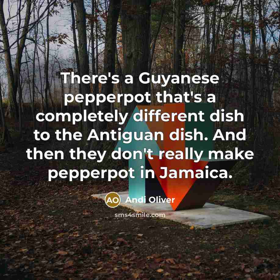 “There's a Guyanese pepperpot that's a completely different dish to…” quote by Andi Oliver
