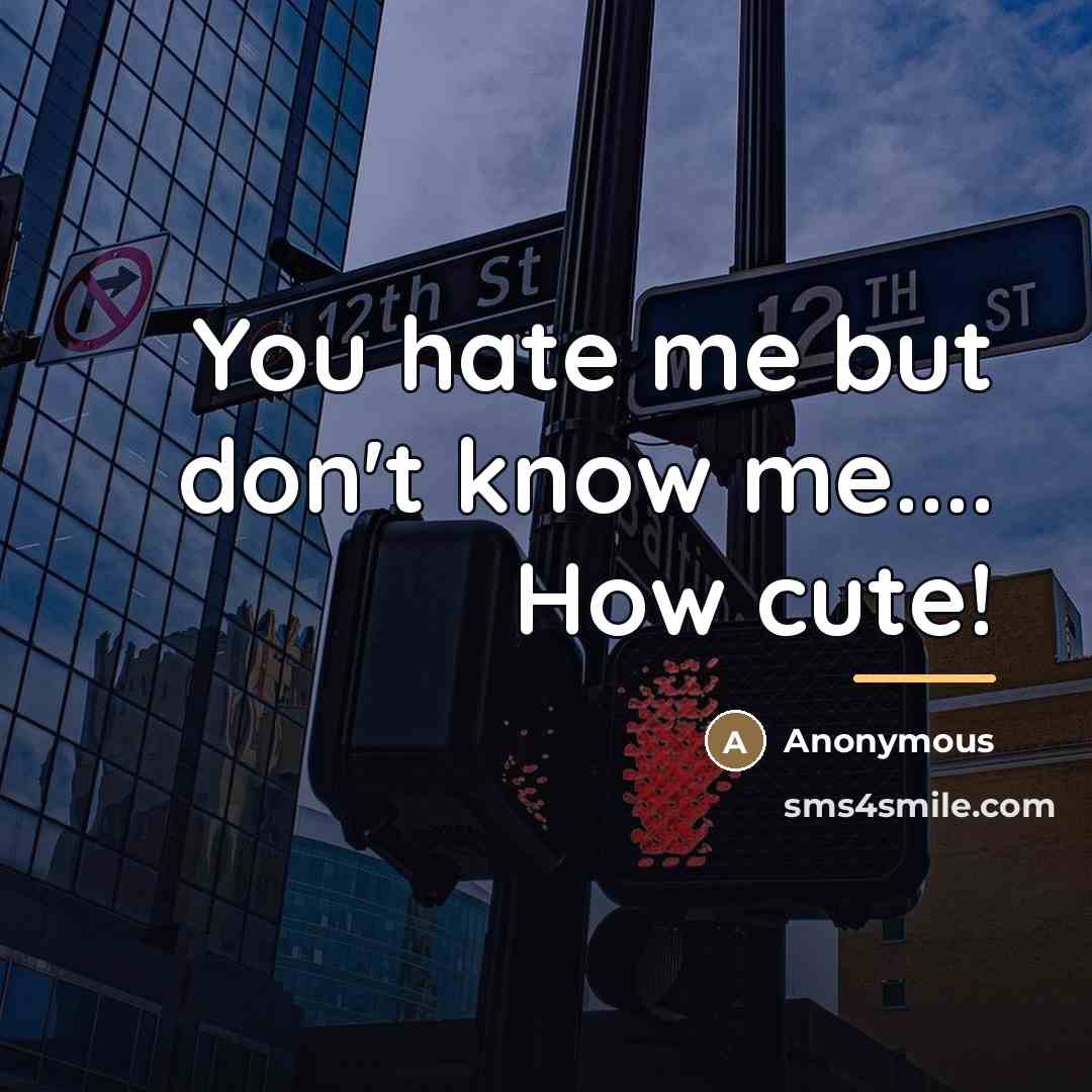 “You hate me but don't know me.... How cute!…” quote by Anonymous