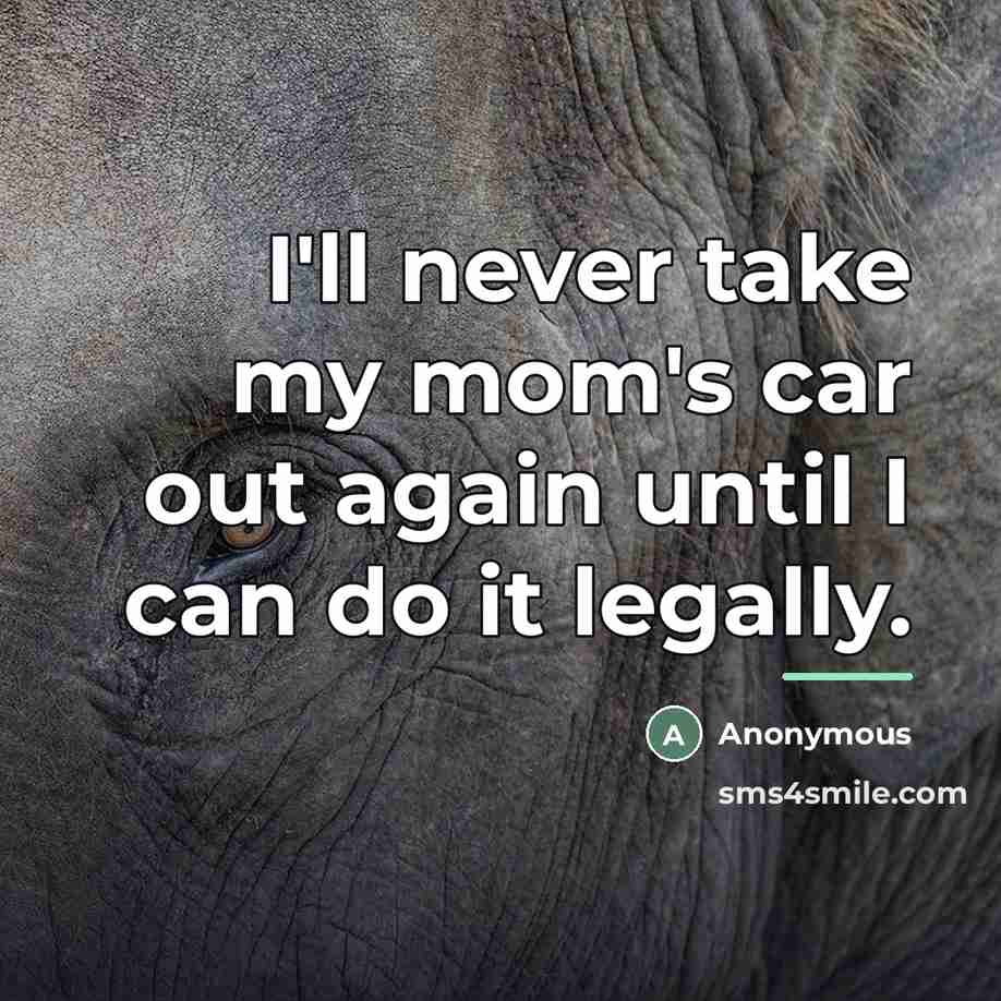 “I'll never take my mom's car out again until I…” quote by Anonymous