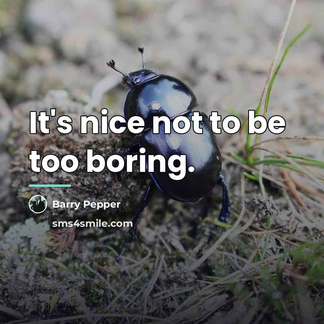 “It's nice not to be too boring.…” quote by Barry Pepper