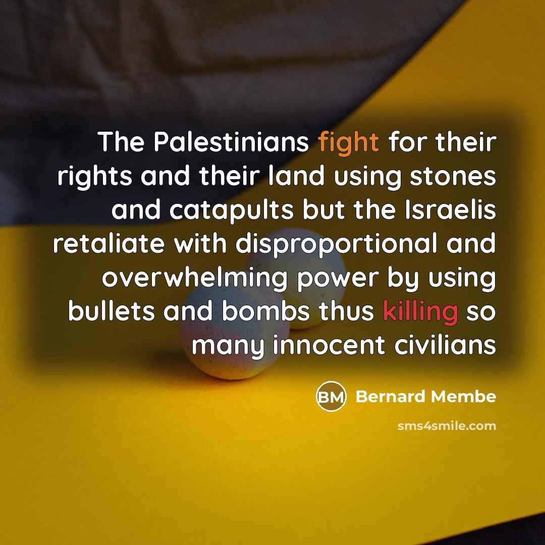 “The Palestinians fight for their rights and their land using…” quote by Bernard Membe