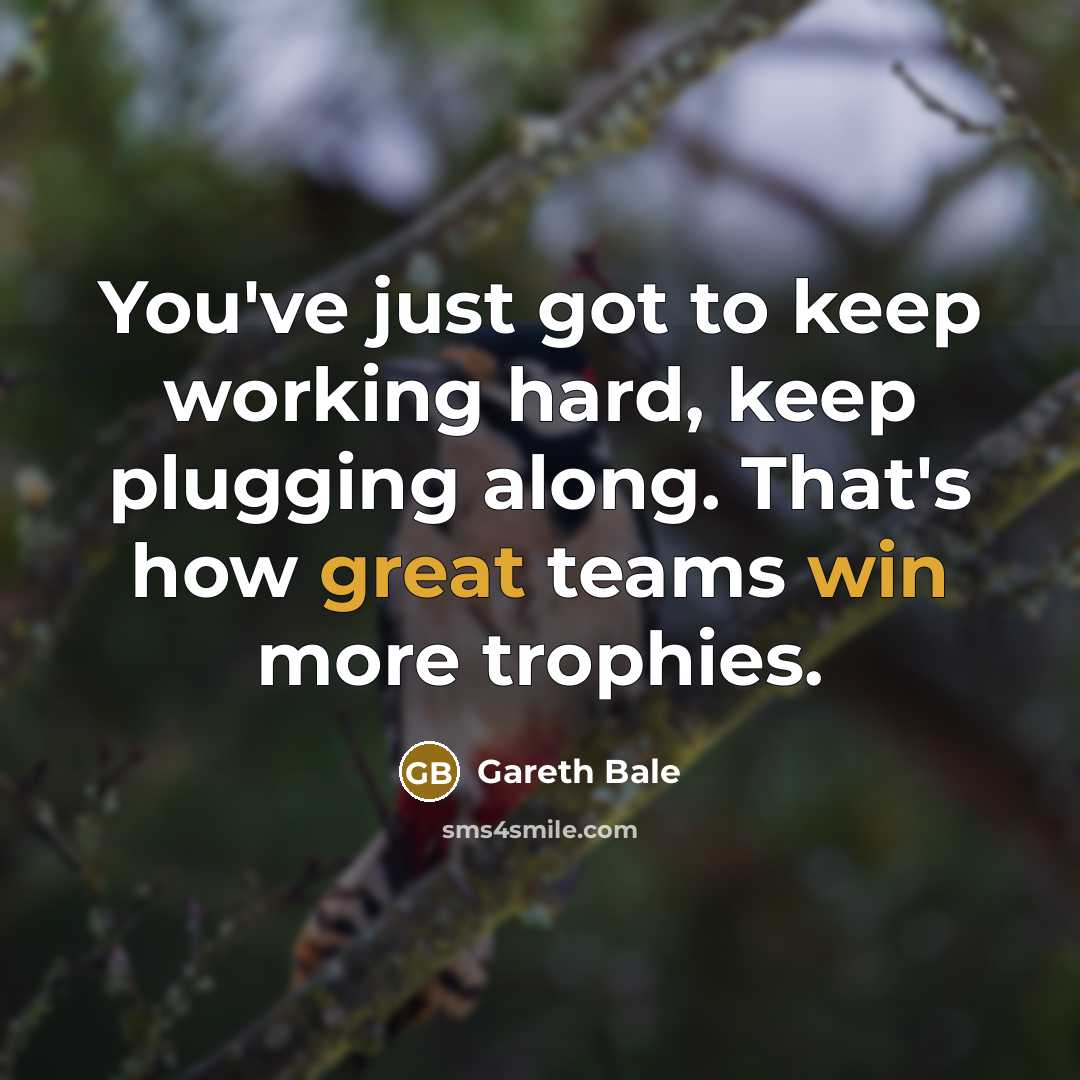 “You've just got to keep working hard, keep plugging along. That's how great teams win more trophies.” quote by Gareth Bale
