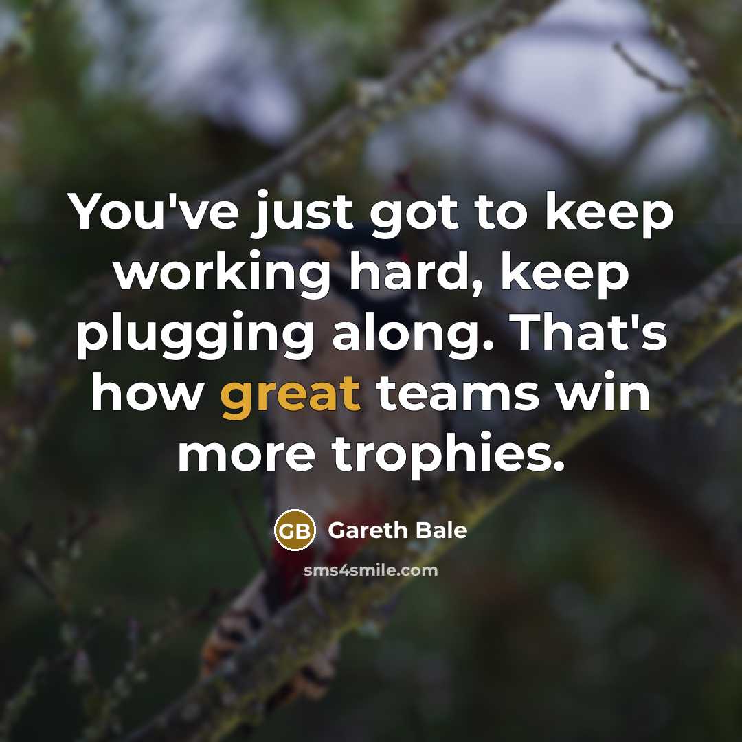 “You've just got to keep working hard, keep plugging along.…” quote by Gareth Bale