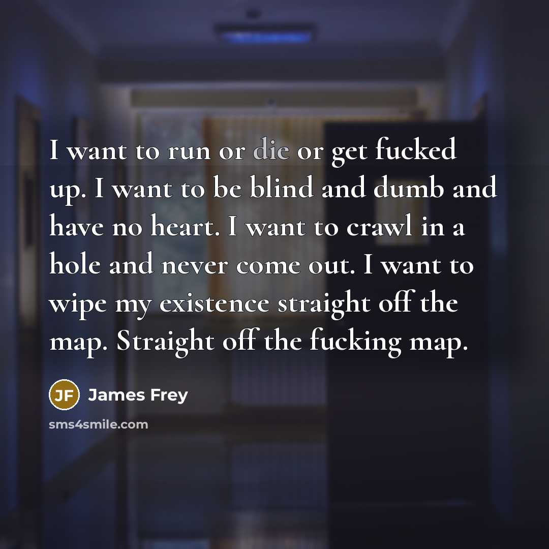 “I want to run or die or get fucked up.…” quote by James Frey