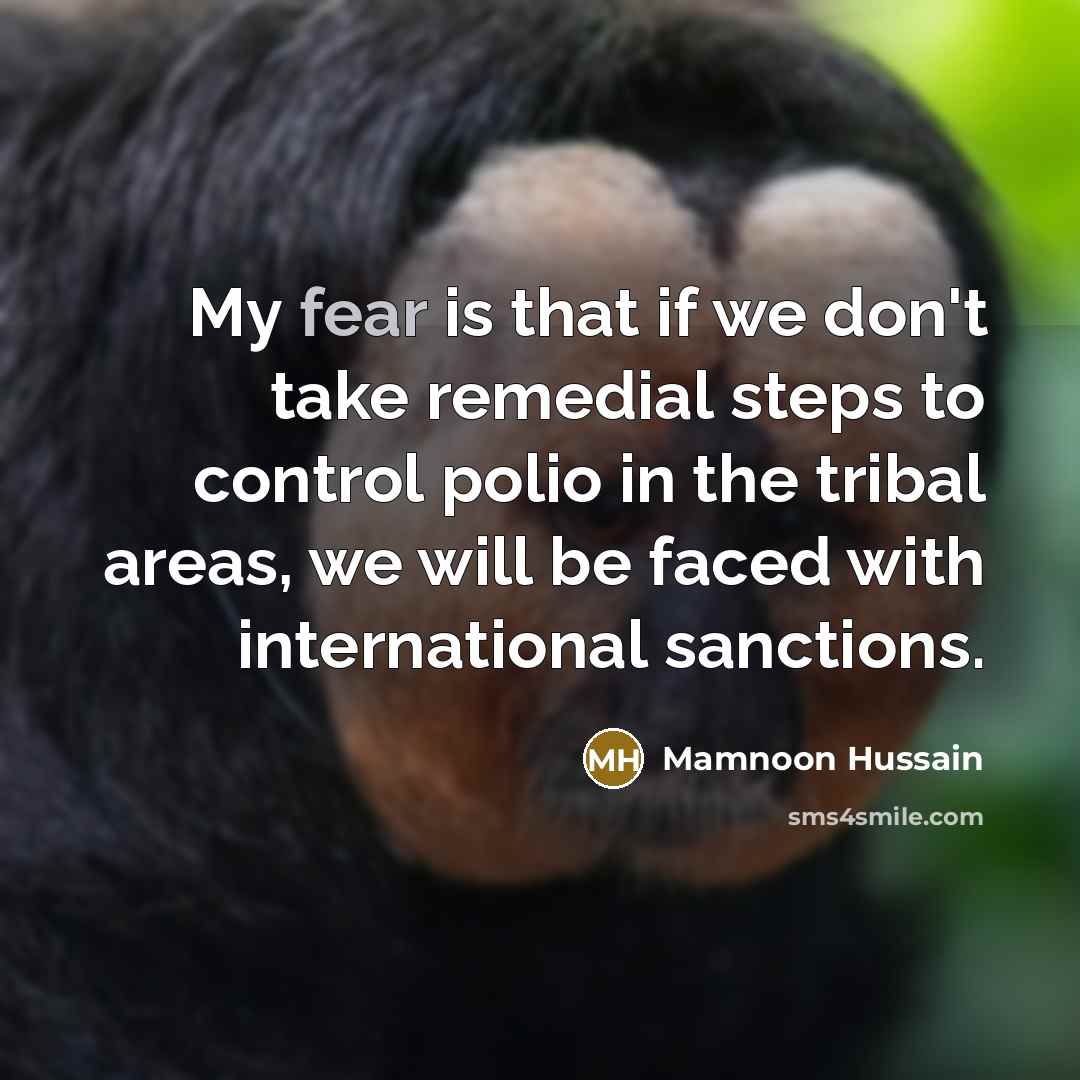 “My fear is that if we don't take remedial steps…” quote by Mamnoon Hussain