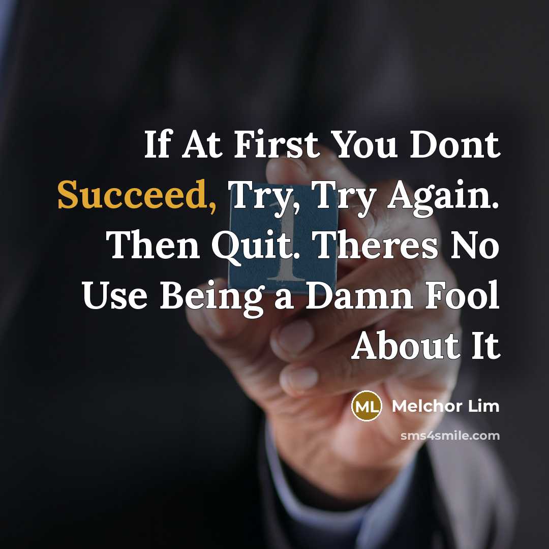“If At First You Dont Succeed, Try, Try Again. Then…” quote by Melchor Lim