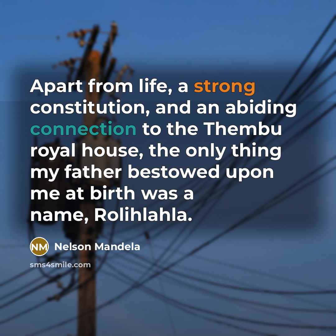 “Apart from life, a strong constitution, and an abiding connection…” quote by Nelson Mandela