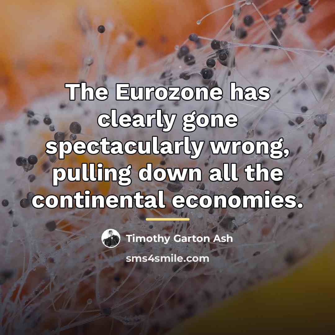 “The Eurozone has clearly gone spectacularly wrong, pulling down all…” quote by Timothy Garton Ash