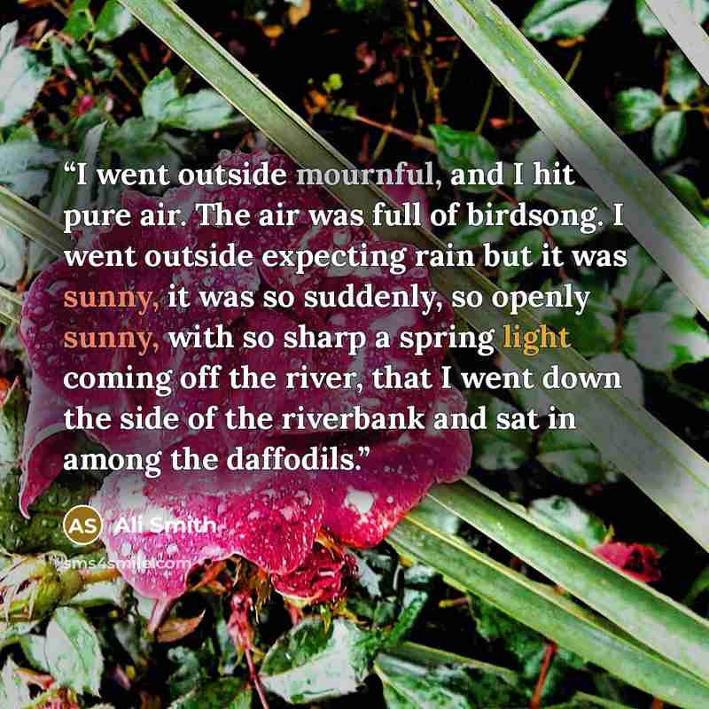 “I went outside mournful, and I hit pure air. The air was full of birdsong. I went outside expecting rain but it was sunny, it was so suddenly, so openly sunny, with so sharp a spring light coming off the river, that I went down the side of the riverbank and sat in among the daffodils.” quote by Ali Smith