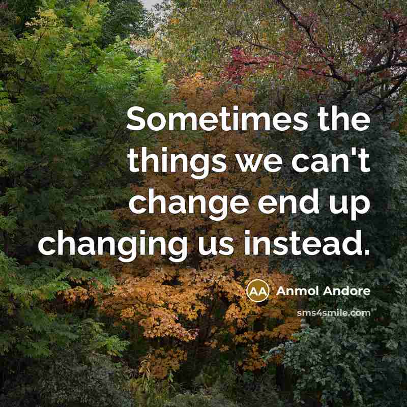 “Sometimes the things we can't change end up changing us…” quote by Anmol Andore