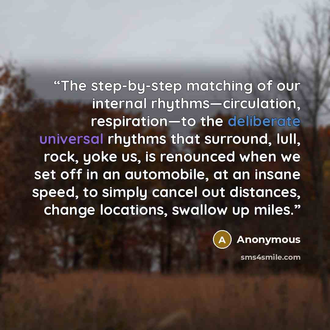“The step-by-step matching of our internal rhythms—circulation, respiration—to the deliberate universal rhythms that surround, lull, rock, yoke us, is renounced when we set off in an automobile, at an insane speed, to simply cancel out distances, change locations, swallow up miles.” quote by Anonymous