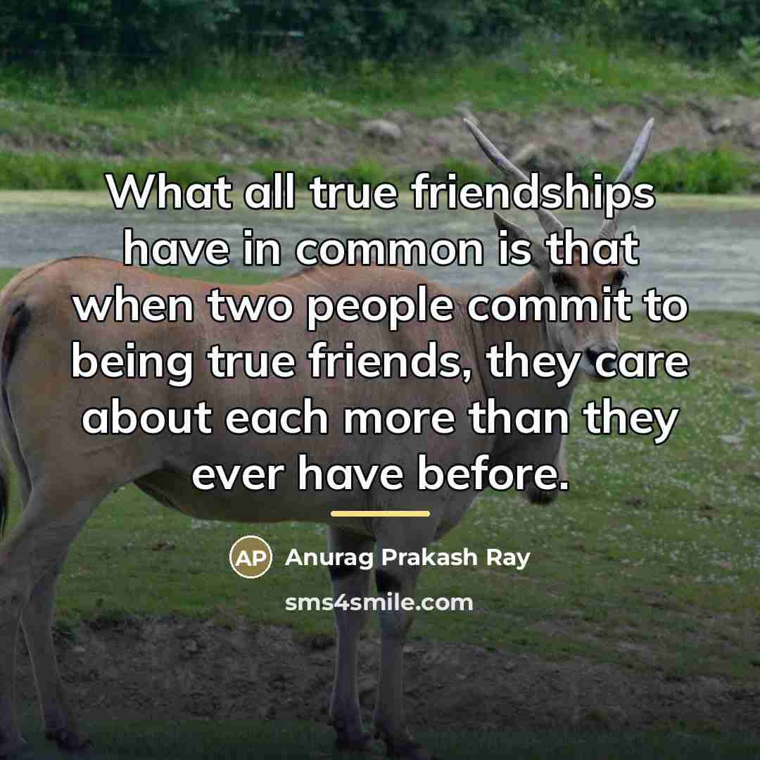“What all true friendships have in common is that when…” quote by Anurag Prakash Ray